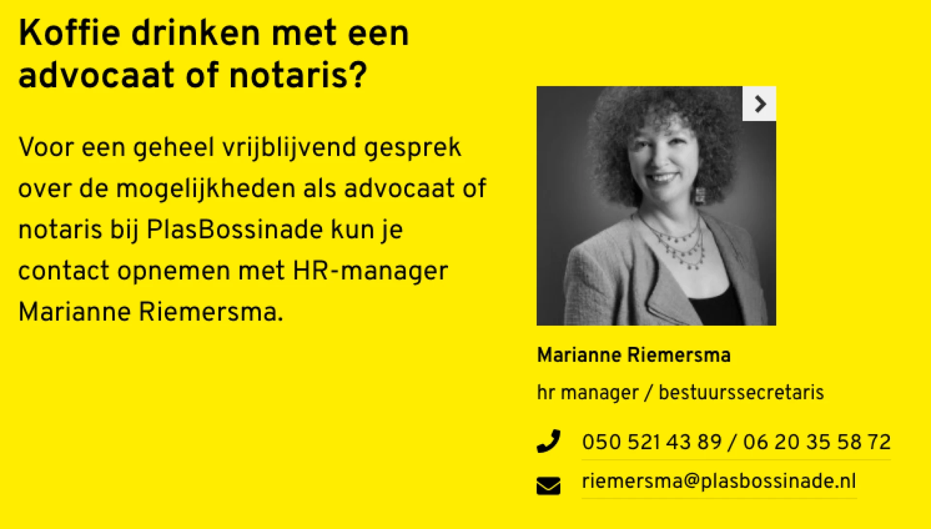 Voorbeeld contactblok op de website van PlasBossinade