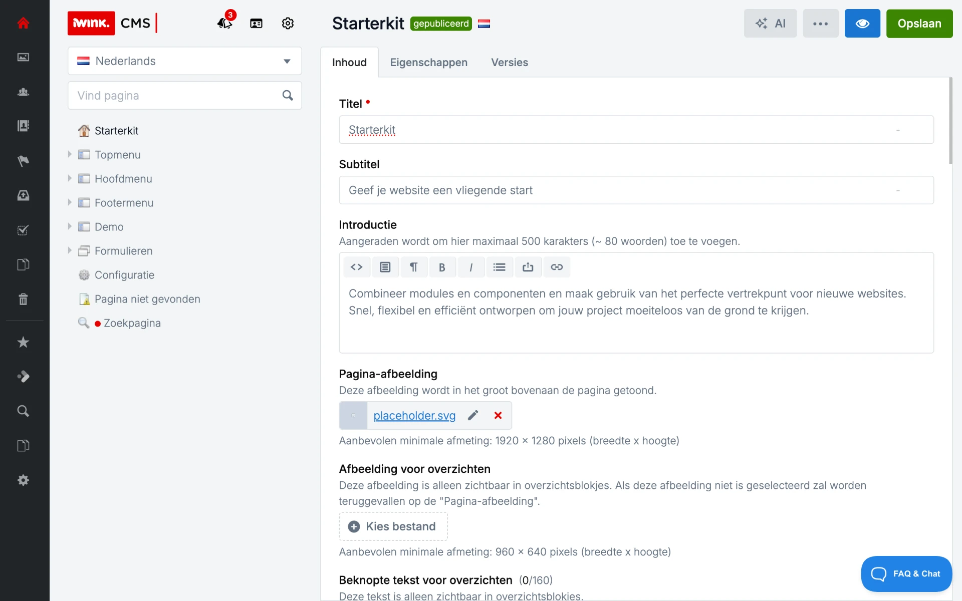 CMS-interface met pagina-instellingen en teksteditor.