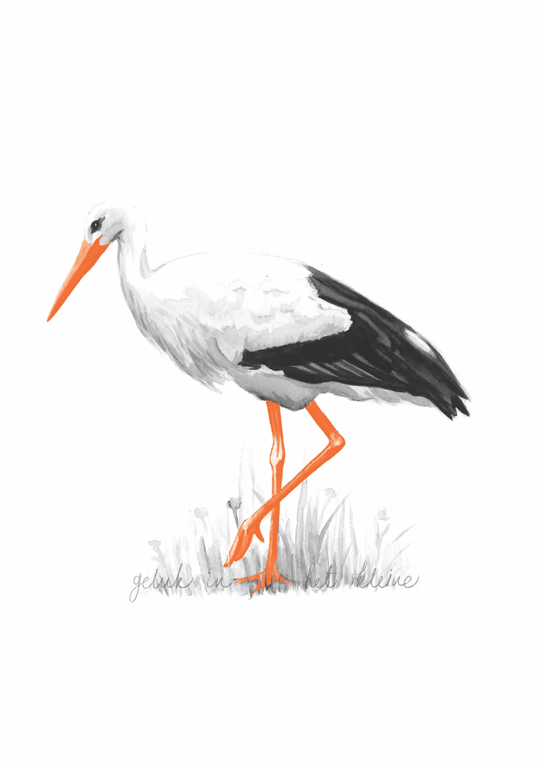 Illustratie van een ooievaar met oranje accenten in het gras.