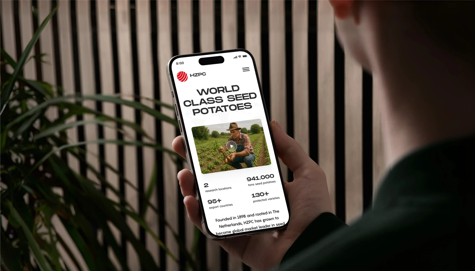 Een persoon bekijkt een smartphone waarop informatie over eersteklas pootaardappelen wordt weergegeven.